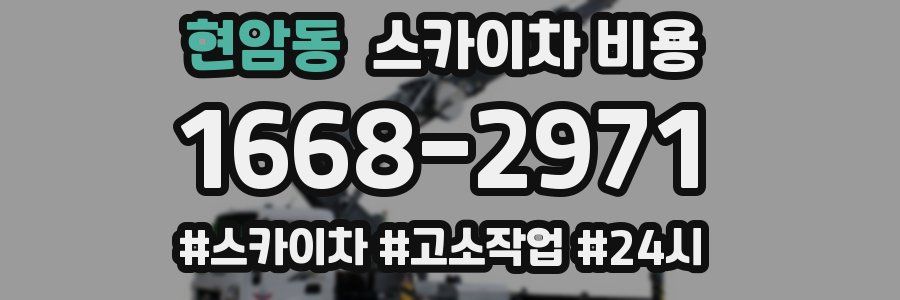 현암동 스카이차 비용