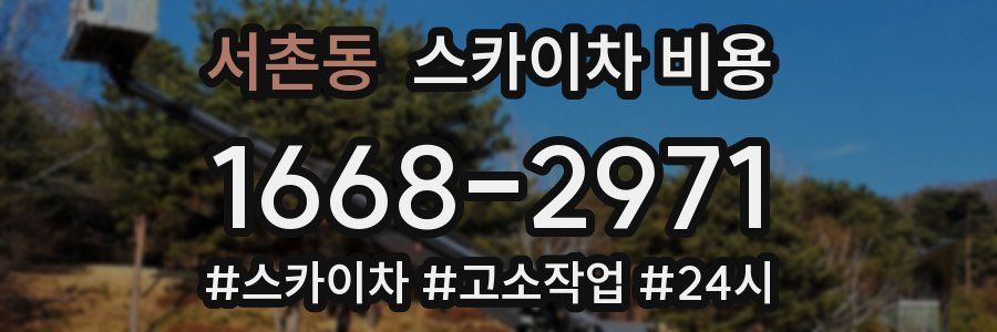 서촌동 스카이차 비용