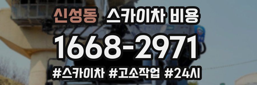 신성동 스카이차 비용