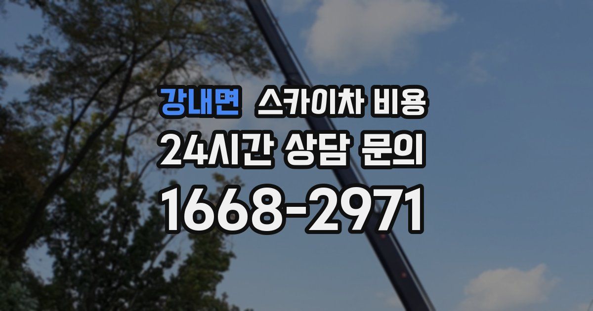 강내면 스카이차 비용