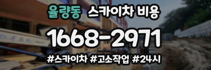 율량동 스카이차 비용