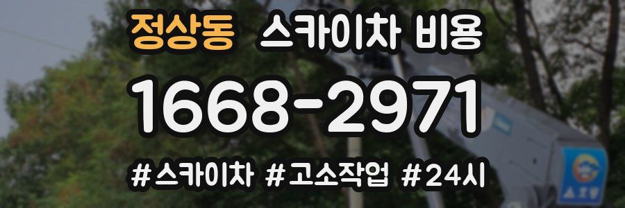 정상동 스카이차 비용