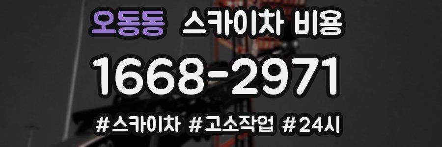 오동동 스카이차 비용