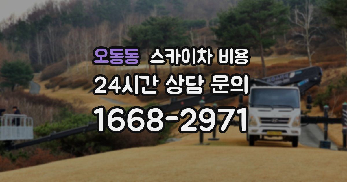 오동동 스카이차 비용