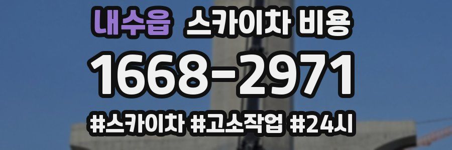 내수읍 스카이차 비용