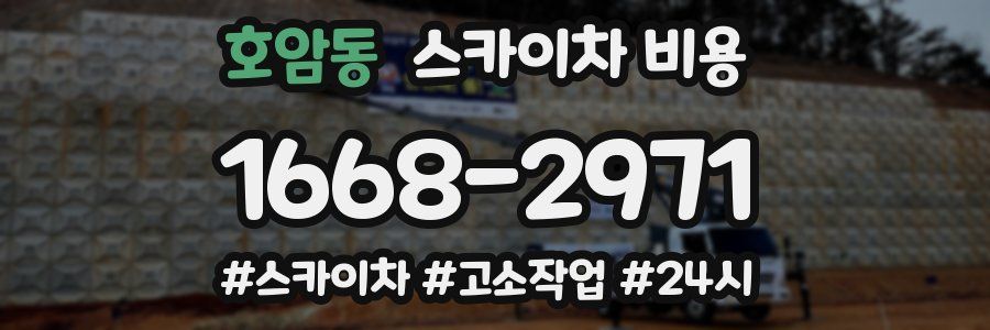 호암동 스카이차 비용