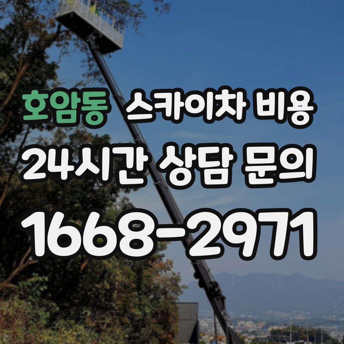 호암동 스카이차 비용