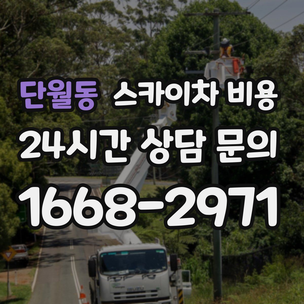 단월동 스카이차 비용