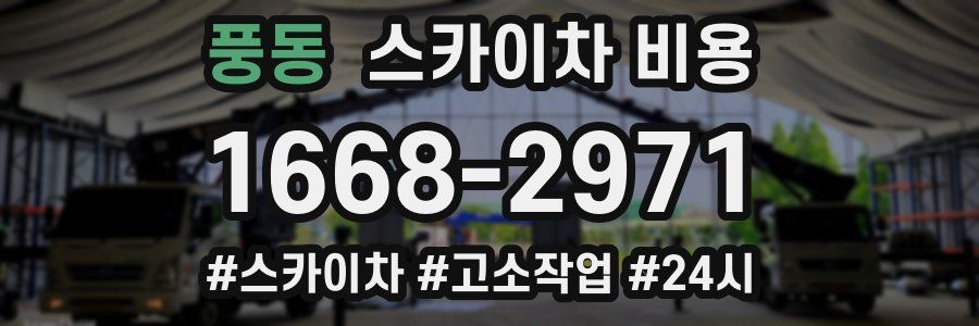 풍동 스카이차 비용