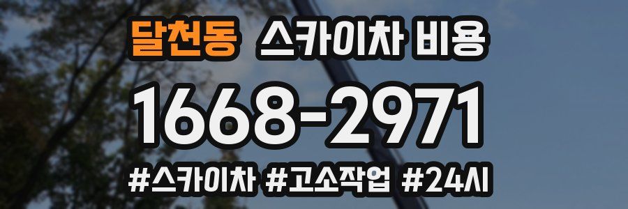 달천동 스카이차 비용