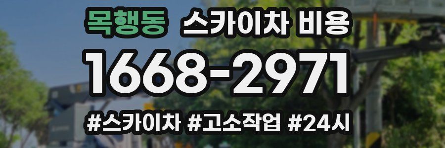 목행동 스카이차 비용