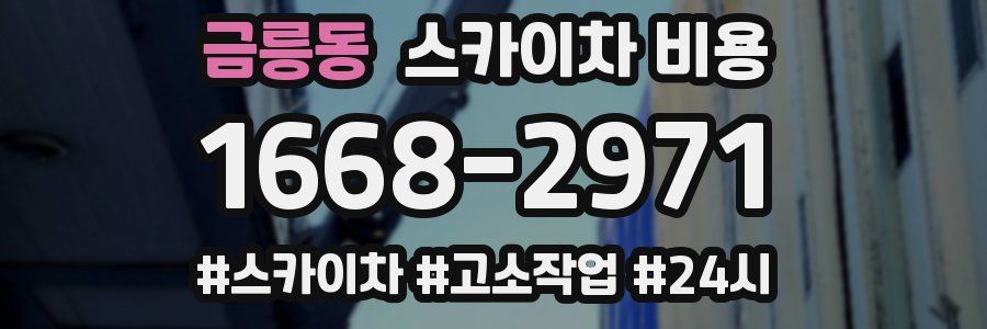 금릉동 스카이차 비용