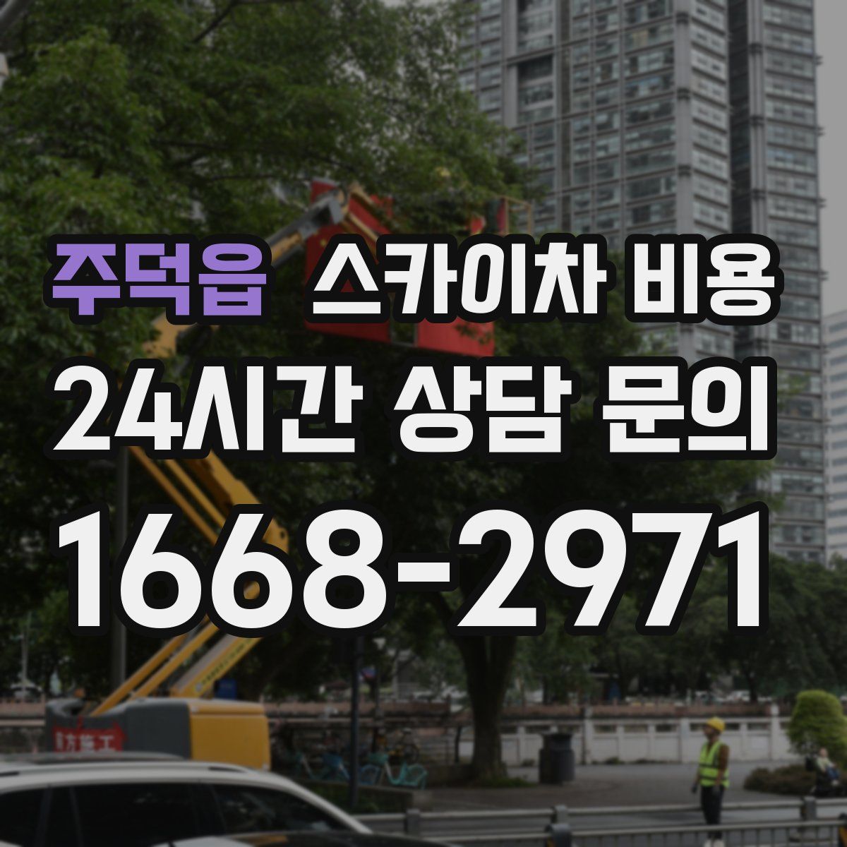 주덕읍 스카이차 비용