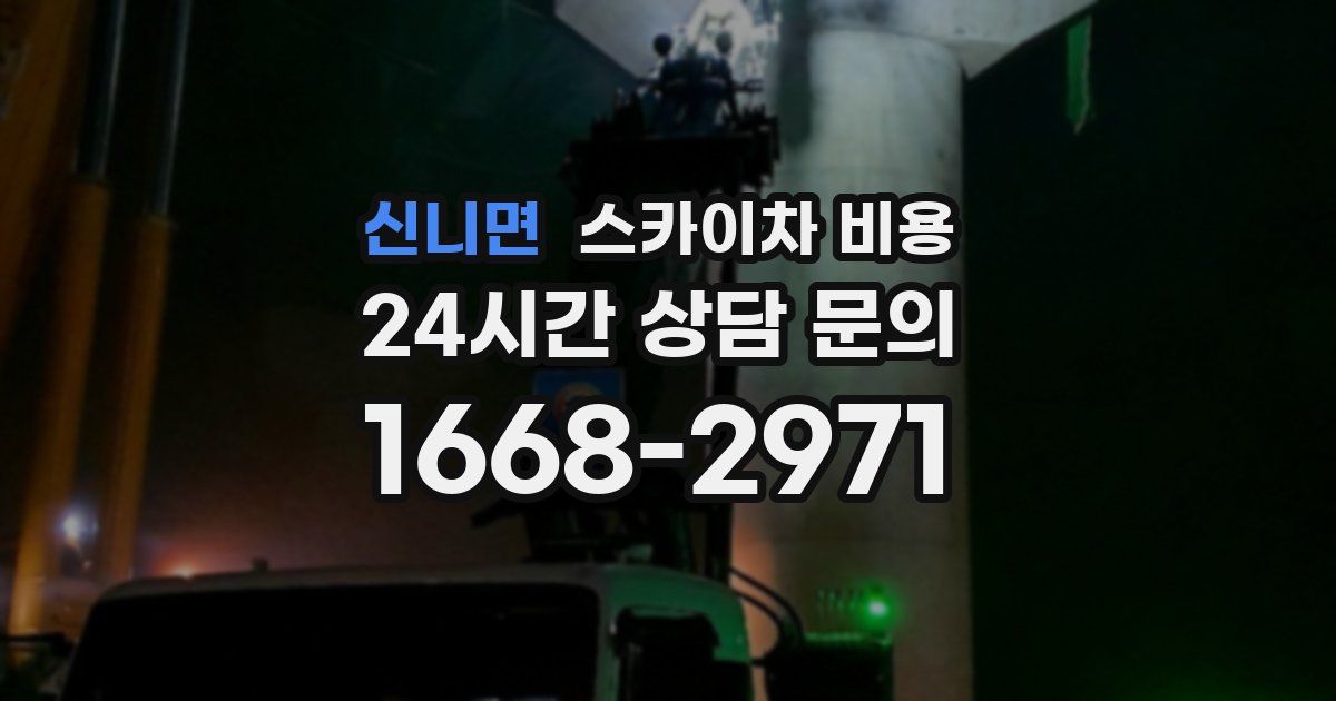 신니면 스카이차 비용