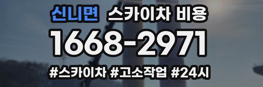 신니면 스카이차 비용