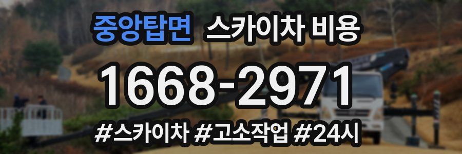 중앙탑면 스카이차 비용