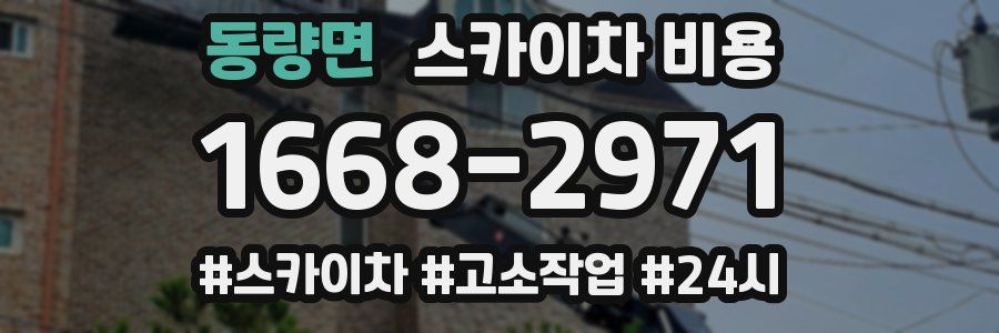 동량면 스카이차 비용