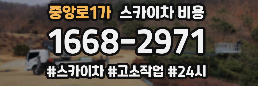 중앙로1가 스카이차 비용