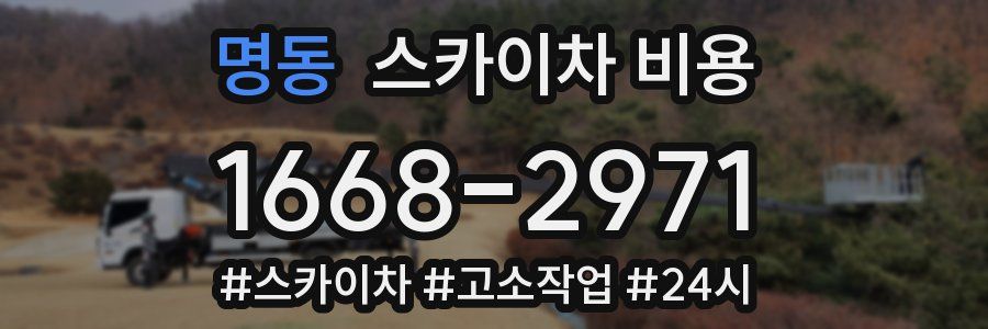 명동 스카이차 비용