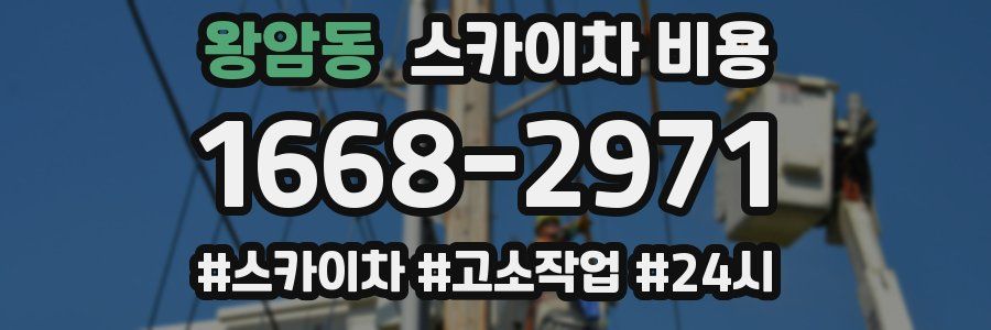 왕암동 스카이차 비용