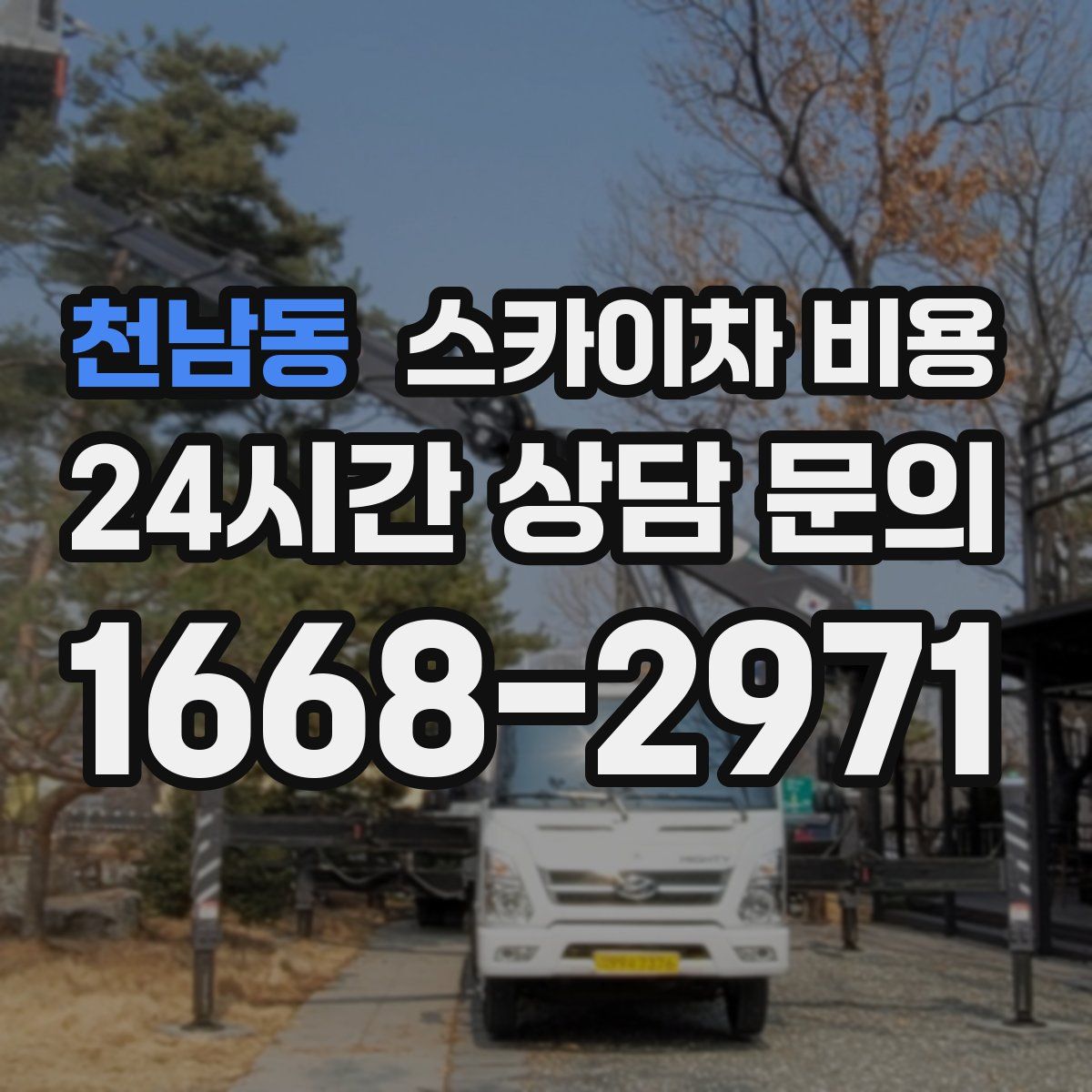 천남동 스카이차 비용