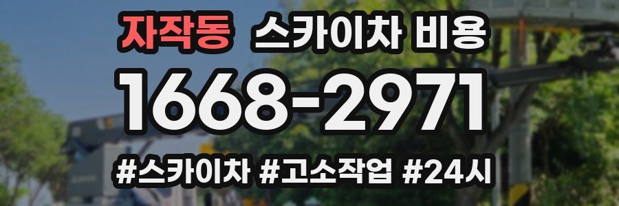 자작동 스카이차 비용