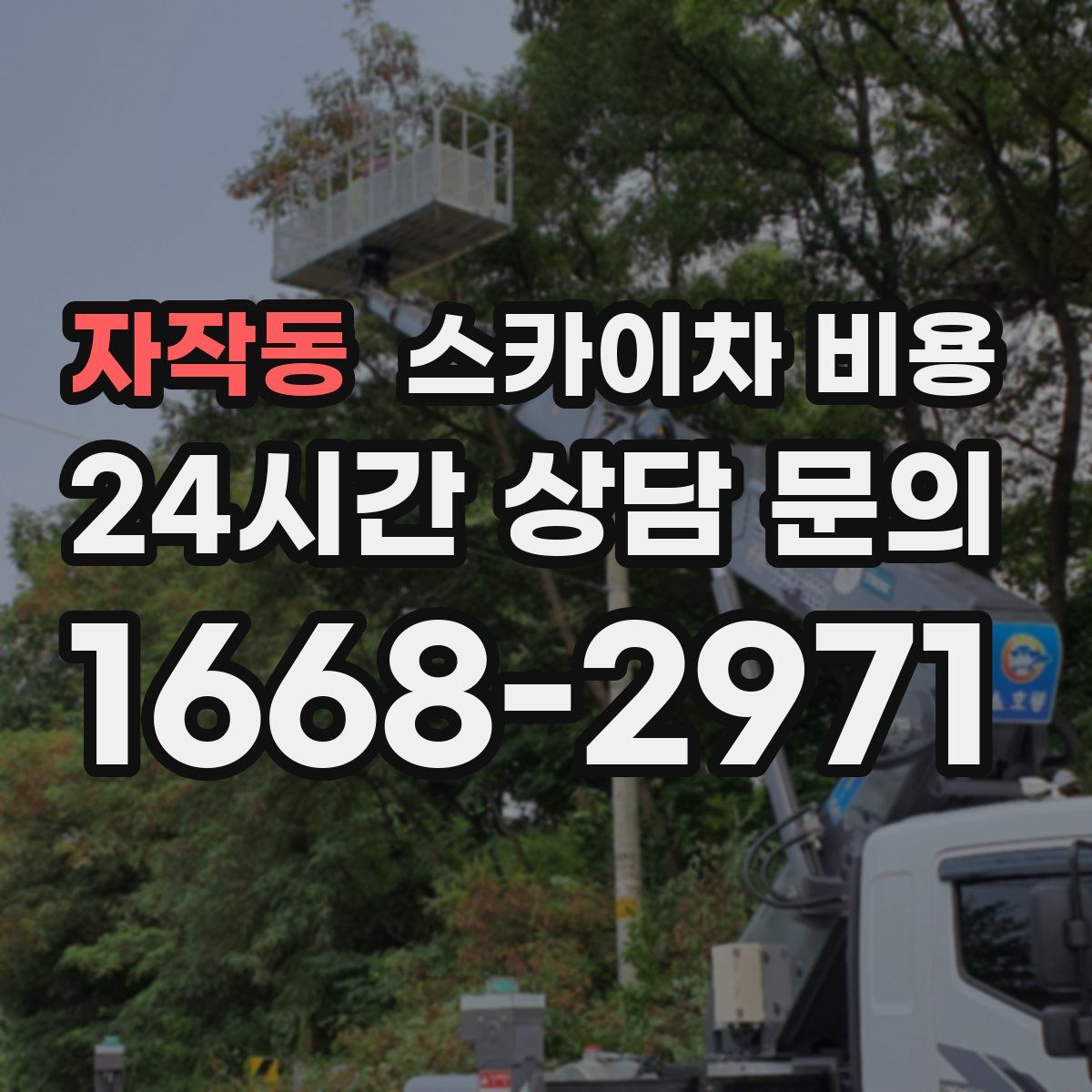 자작동 스카이차 비용