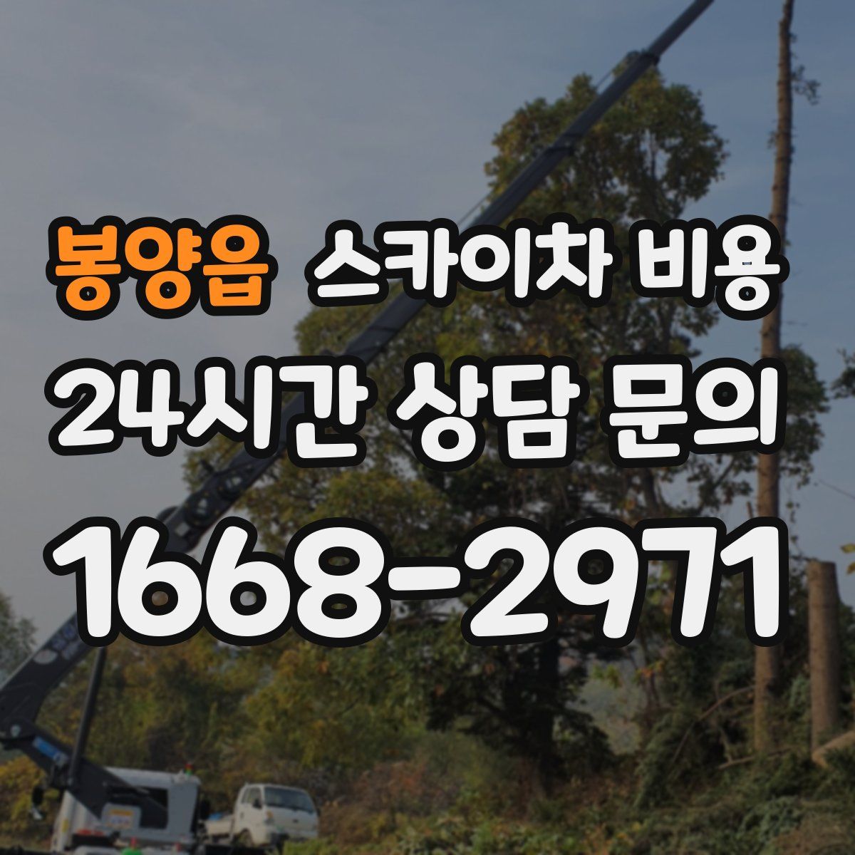 봉양읍 스카이차 비용