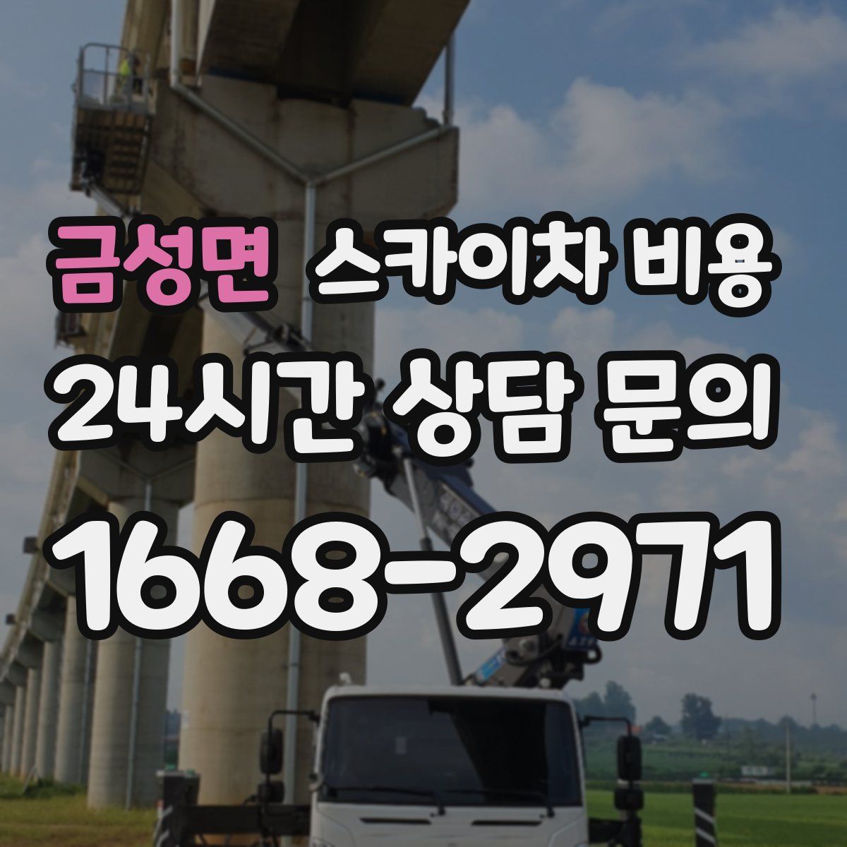 금성면 스카이차 비용