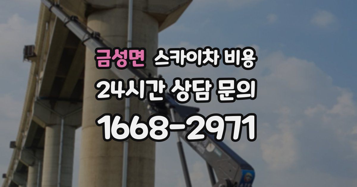 금성면 스카이차 비용