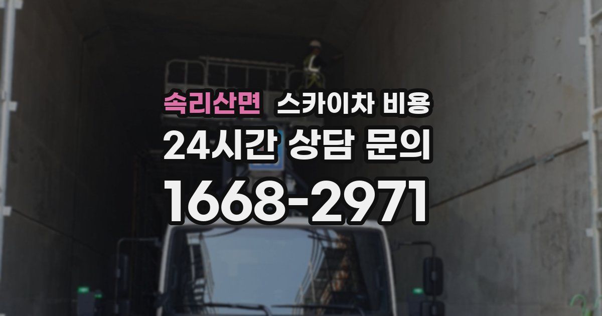 속리산면 스카이차 비용