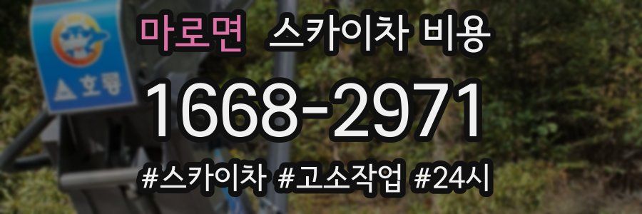 마로면 스카이차 비용