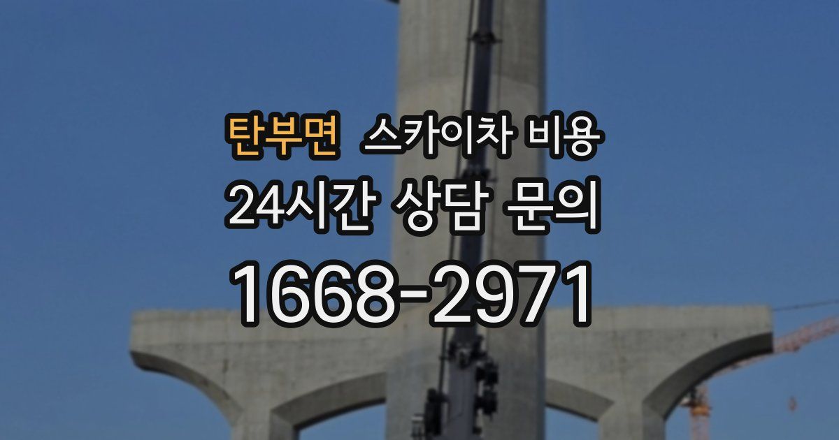 탄부면 스카이차 비용