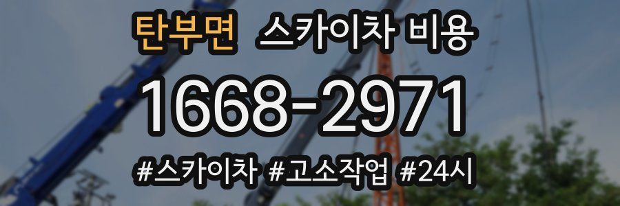 탄부면 스카이차 비용