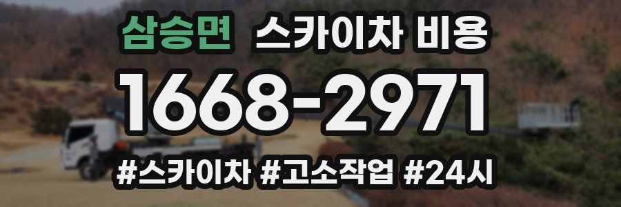 삼승면 스카이차 비용