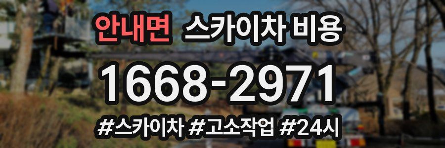 안내면 스카이차 비용