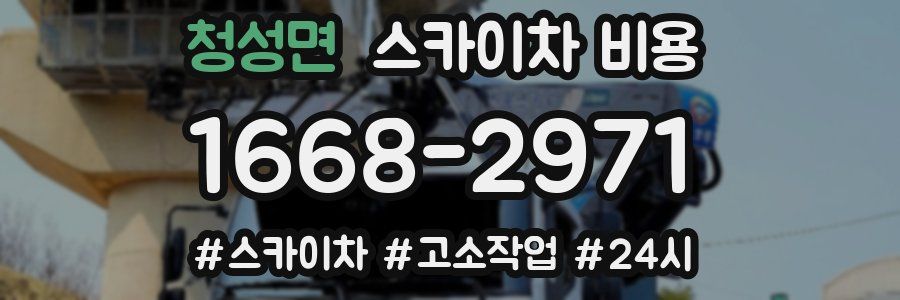 청성면 스카이차 비용