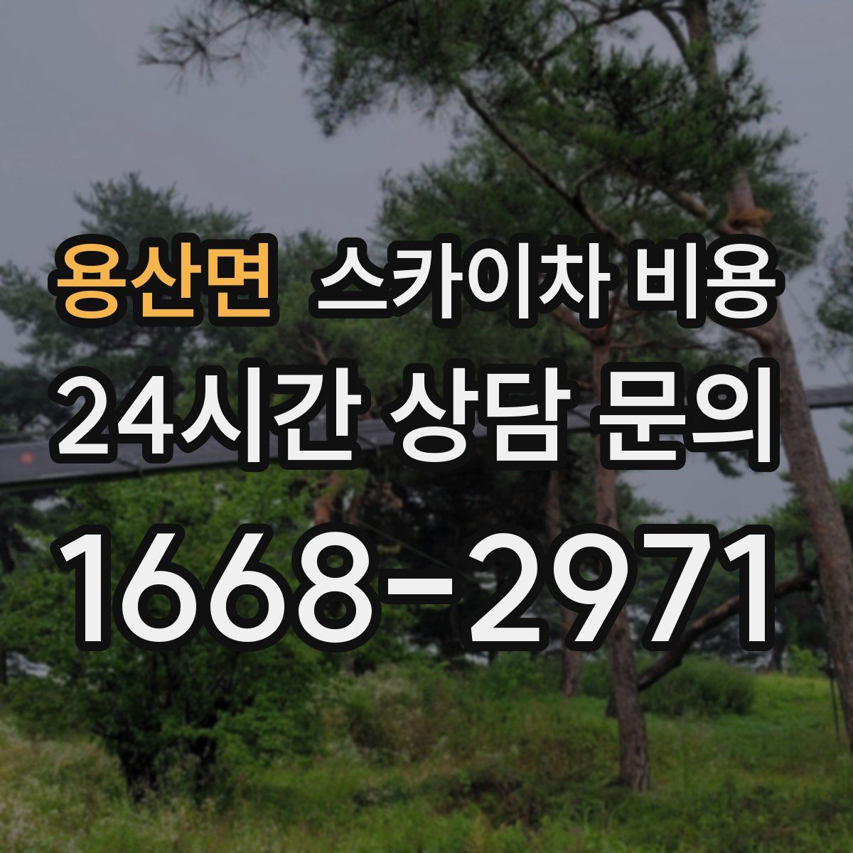 용산면 스카이차 비용