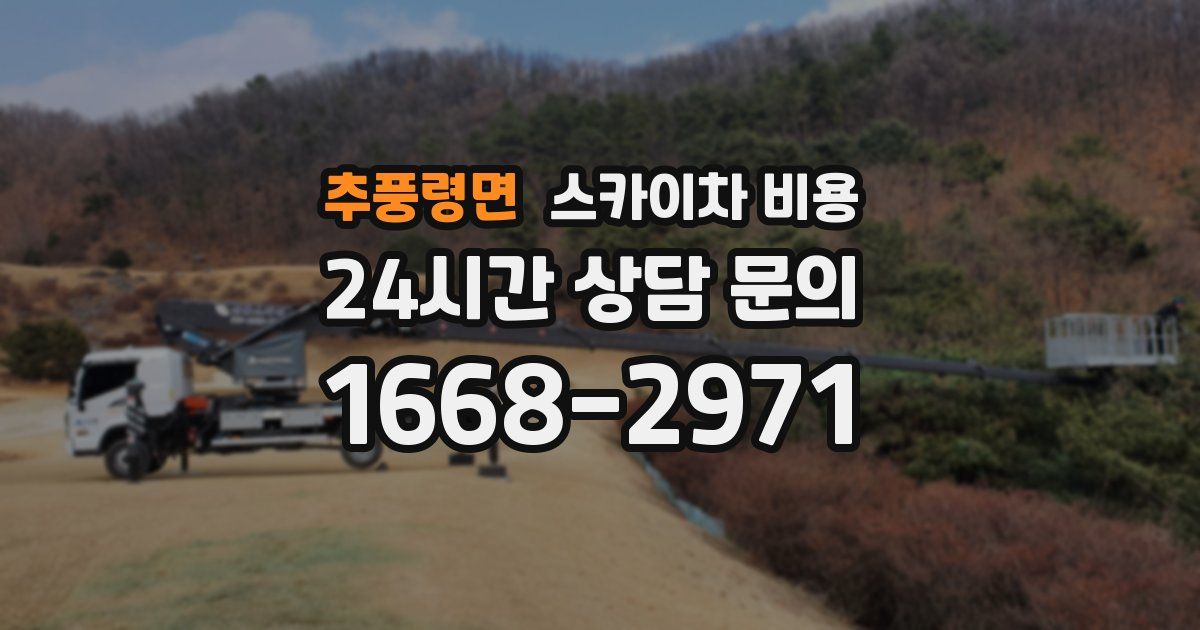 추풍령면 스카이차 비용