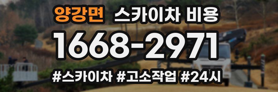 양강면 스카이차 비용