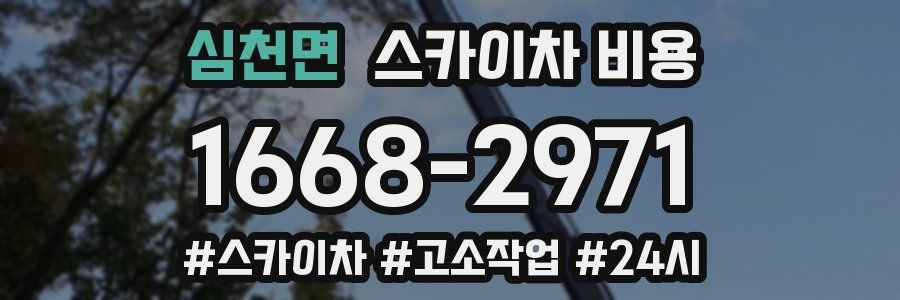 심천면 스카이차 비용