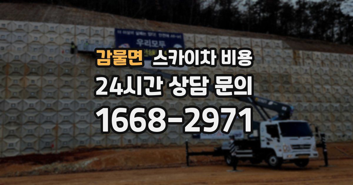 감물면 스카이차 비용