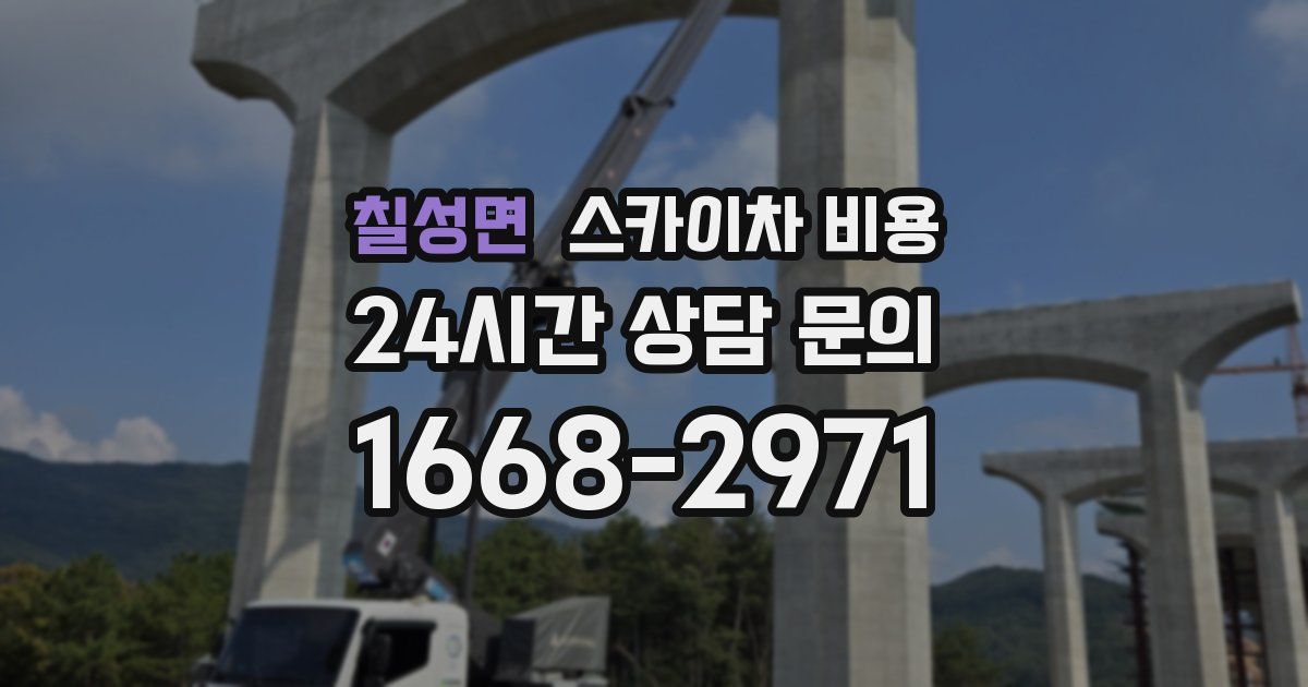 칠성면 스카이차 비용