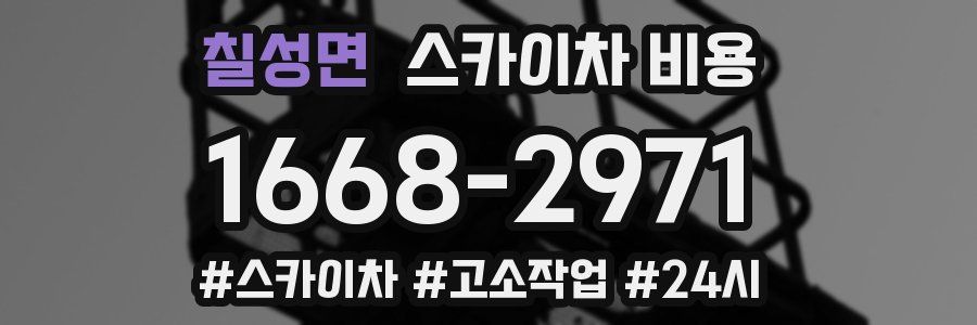 칠성면 스카이차 비용