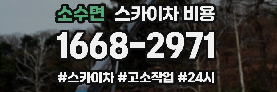 소수면 스카이차 비용