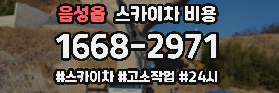 음성읍 스카이차 비용