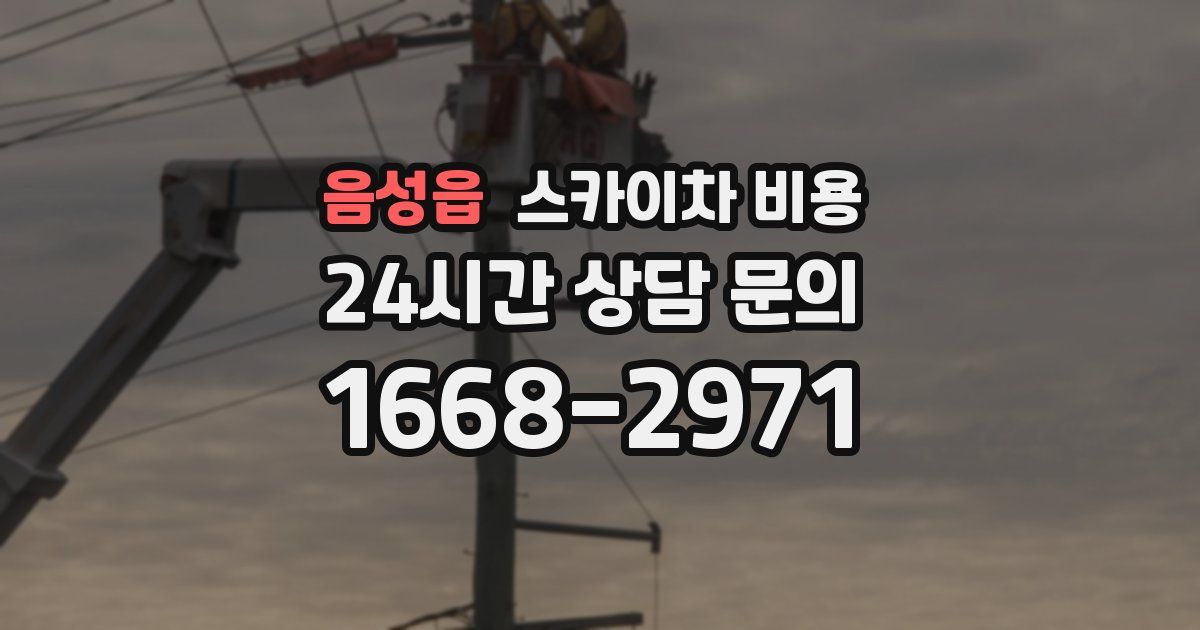 음성읍 스카이차 비용