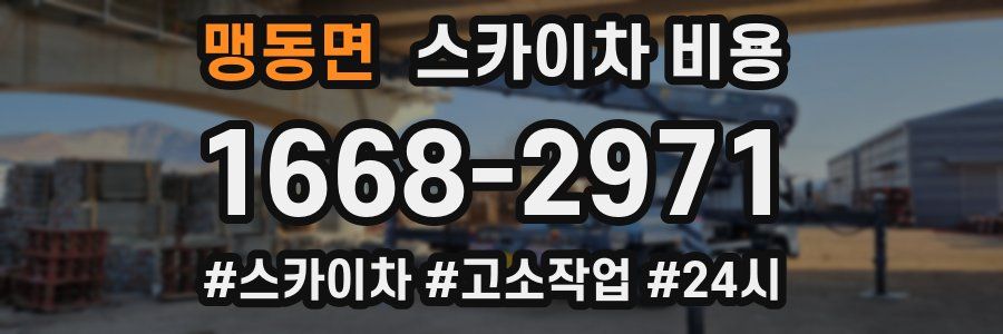 맹동면 스카이차 비용