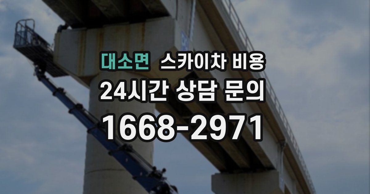 대소면 스카이차 비용