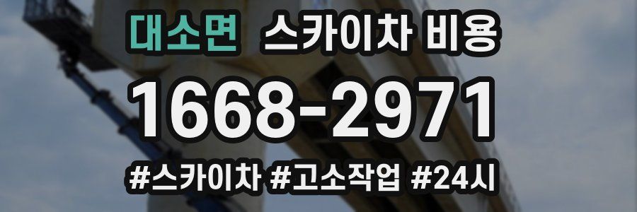 대소면 스카이차 비용